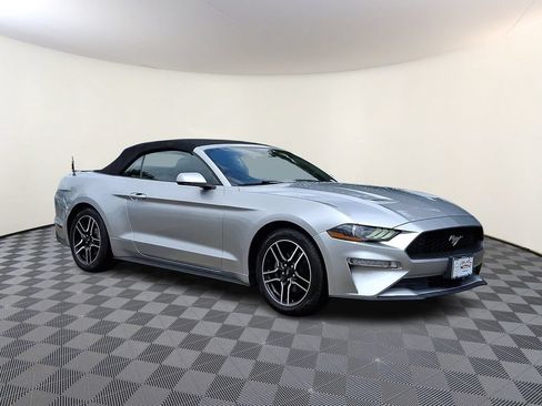 Used 2019 Ford Mustang Premium RWD image 1