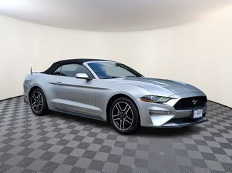 Used 2019 Ford Mustang Premium RWD video 1