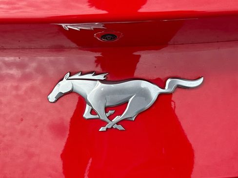 Used 2024 Ford Mustang Premium RWD image 11