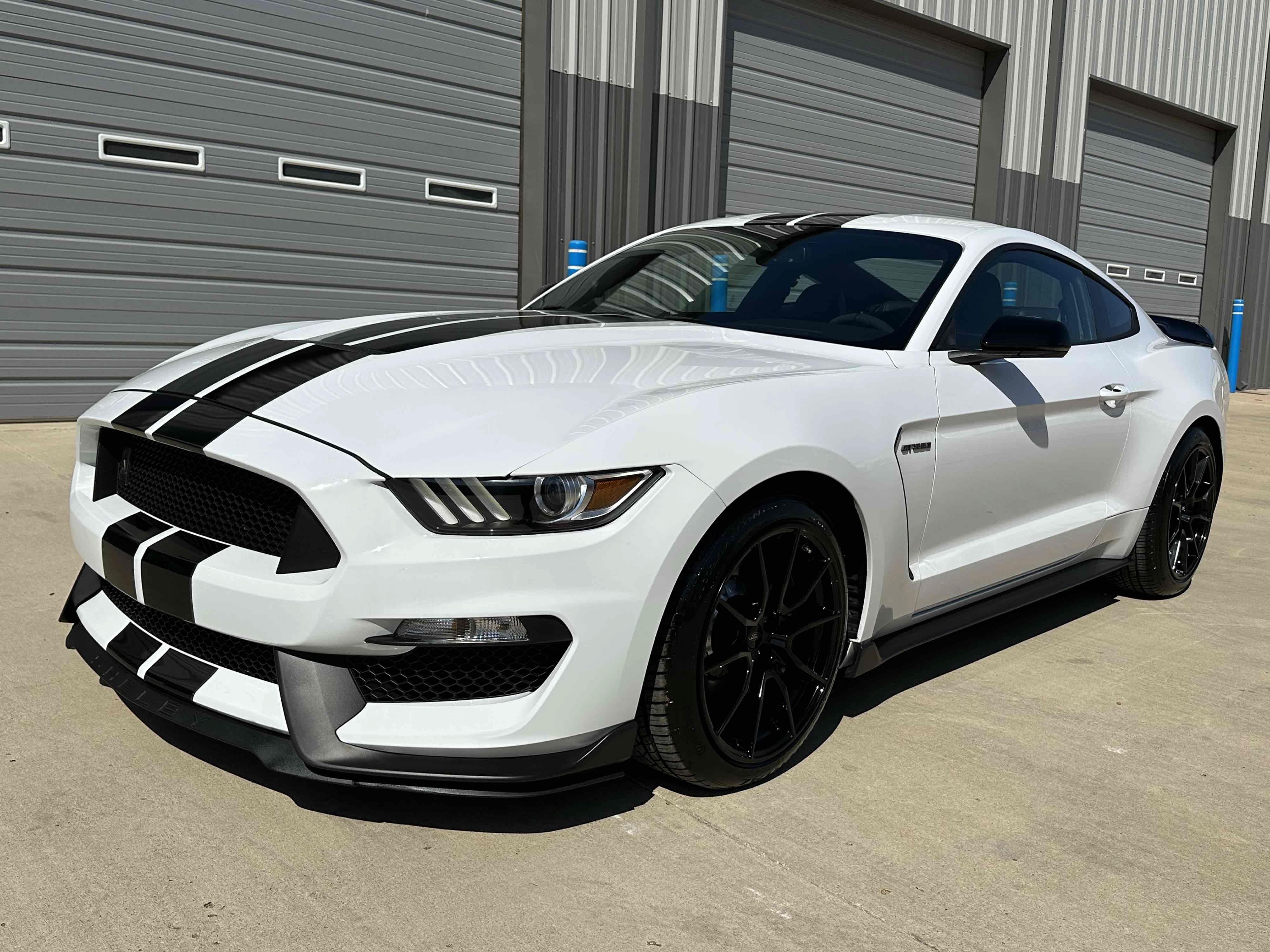Used 2019 Ford Mustang Shelby GT350 w/ Technology Package RWD image 3