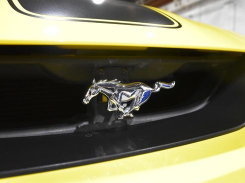 Used 2003 Ford Mustang Mach 1 image 3