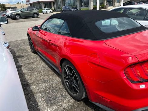 Used 2019 Ford Mustang Convertible RWD image 2