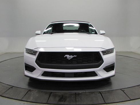 Used 2024 Ford Mustang Premium RWD image 2