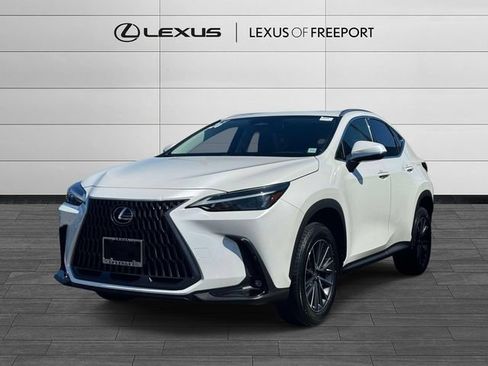 Certified 2024 Lexus NX 250 FWD w/ Cold Area Package image 3