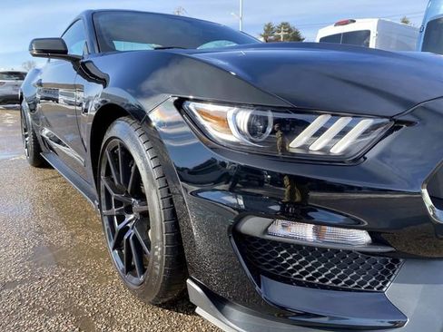 Used 2016 Ford Mustang Shelby GT350 w/ Technology Package image 8