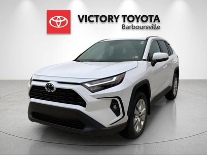New 2025 Toyota RAV4 XLE Premium