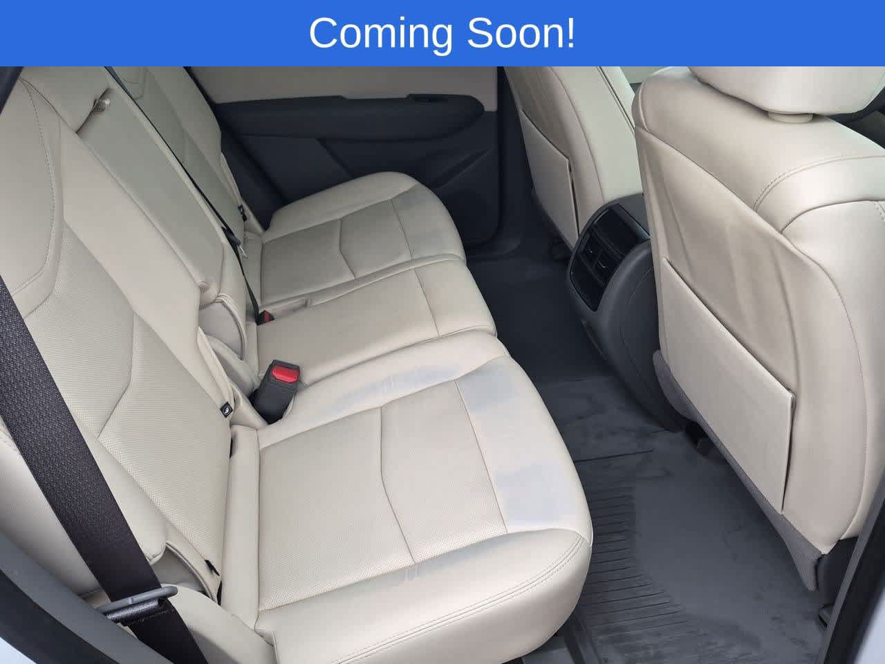 Used 2024 Cadillac XT5 Premium Luxury w/ LPO, Floor Liner Package AWD/4WD image 21