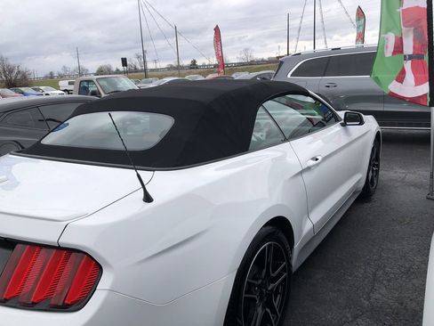 Used 2020 Ford Mustang Premium image 6