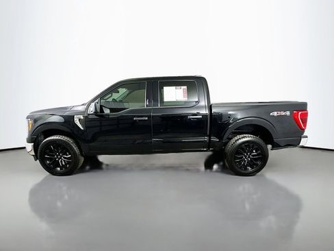 Used 2023 Ford F150 XLT w/ Equipment Group 301A Mid image 5