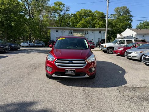 Used 2019 Ford Escape SE FWD image 2