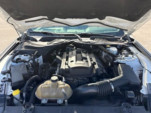 Used 2019 Ford Mustang Premium w/ Equipment Group 201A RWD image 29