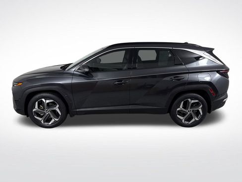 Used 2023 Hyundai Tucson Limited FWD image 8