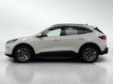Used 2020 Ford Escape Titanium image 2