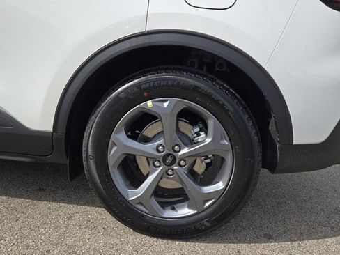 Used 2025 Ford Escape ST-Line w/ Tech Pack #1 image 14