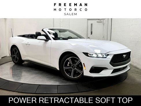 Used 2024 Ford Mustang Premium RWD image 1