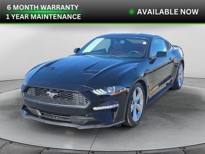 Used 2019 Ford Mustang Premium w/ Equipment Group 201A