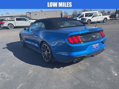 Used 2019 Ford Mustang Premium w/ Equipment Group 201A image 6
