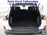 Used 2022 Ford Escape SE w/ Cold Weather Package image 5