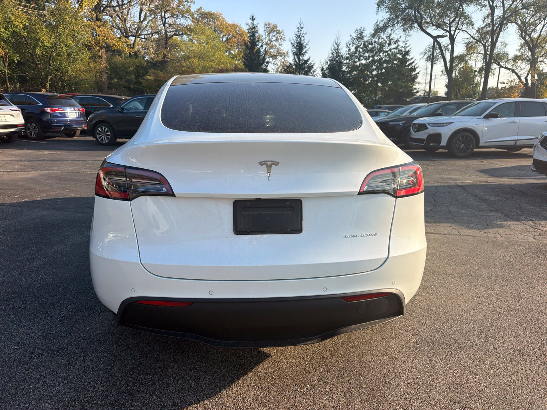 Used 2020 Tesla Model Y Long Range AWD/4WD image 6