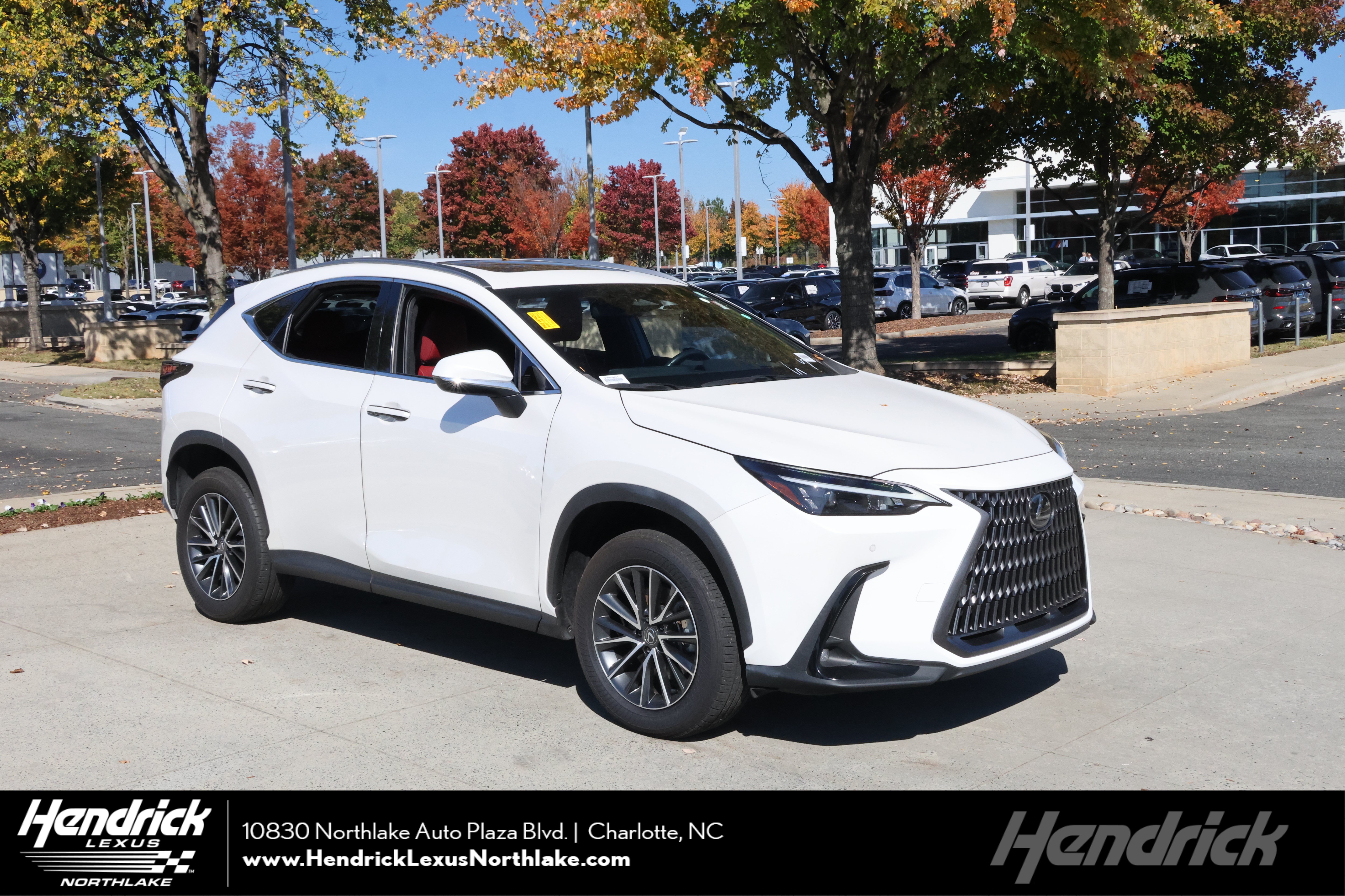 Used 2025 Lexus NX 350h AWD w/ Cold Area Package image 1