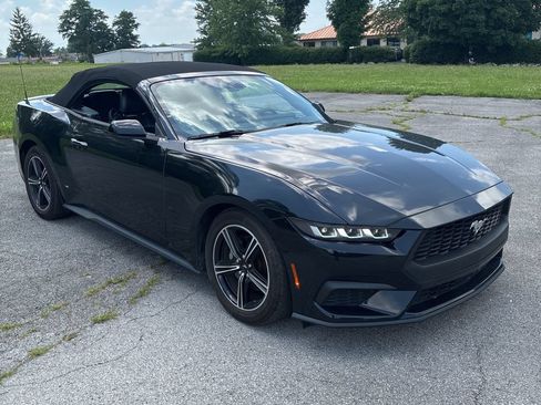 Used 2024 Ford Mustang Premium RWD image 2