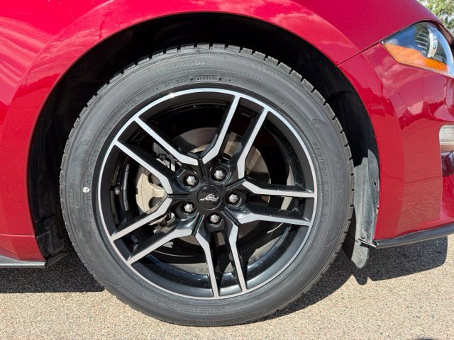 Certified 2019 Ford Mustang Coupe w/ Equipment Group 101A RWD image 38