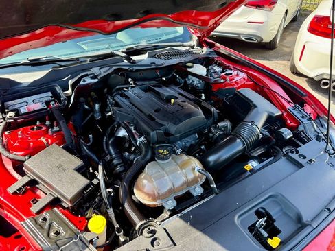 Used 2015 Ford Mustang Premium w/ Equipment Group 201A image 5