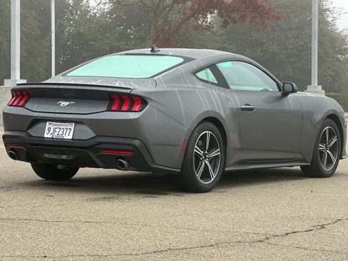Used 2024 Ford Mustang Premium image 4