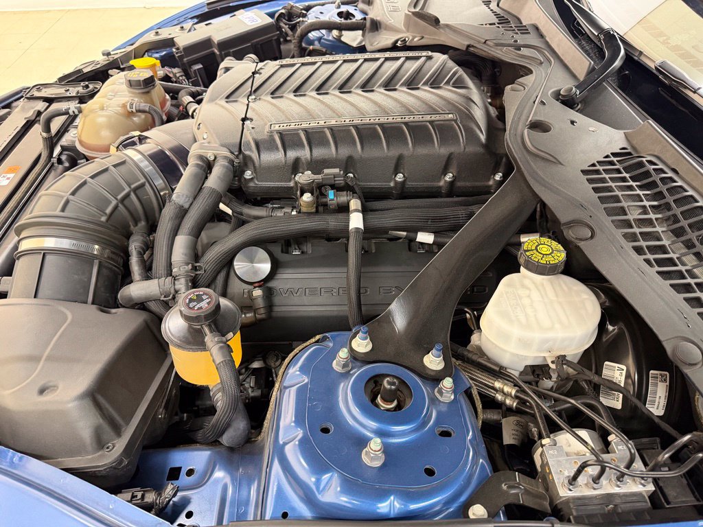 Used 2019 Ford Mustang Shelby GT350 w/ Technology Package RWD image 10