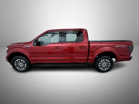 Used 2019 Ford F150 XLT w/ Equipment Group 302A Luxury image 8
