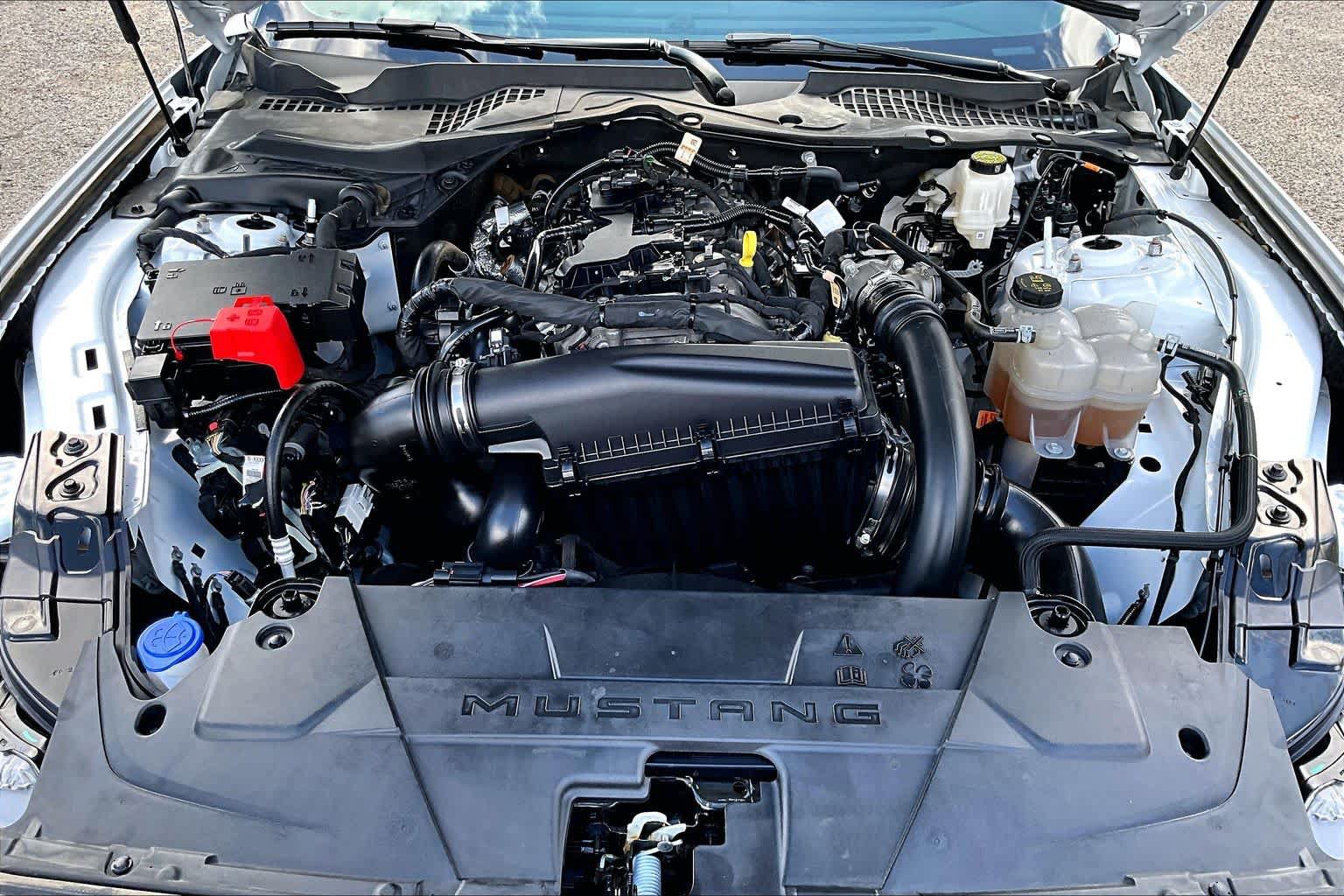 Used 2025 Ford Mustang Coupe RWD image 32