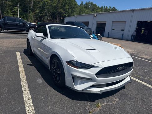 Used 2022 Ford Mustang Premium w/ Equipment Group 201A RWD image 1