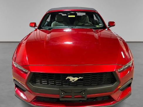 Used 2024 Ford Mustang Premium image 14