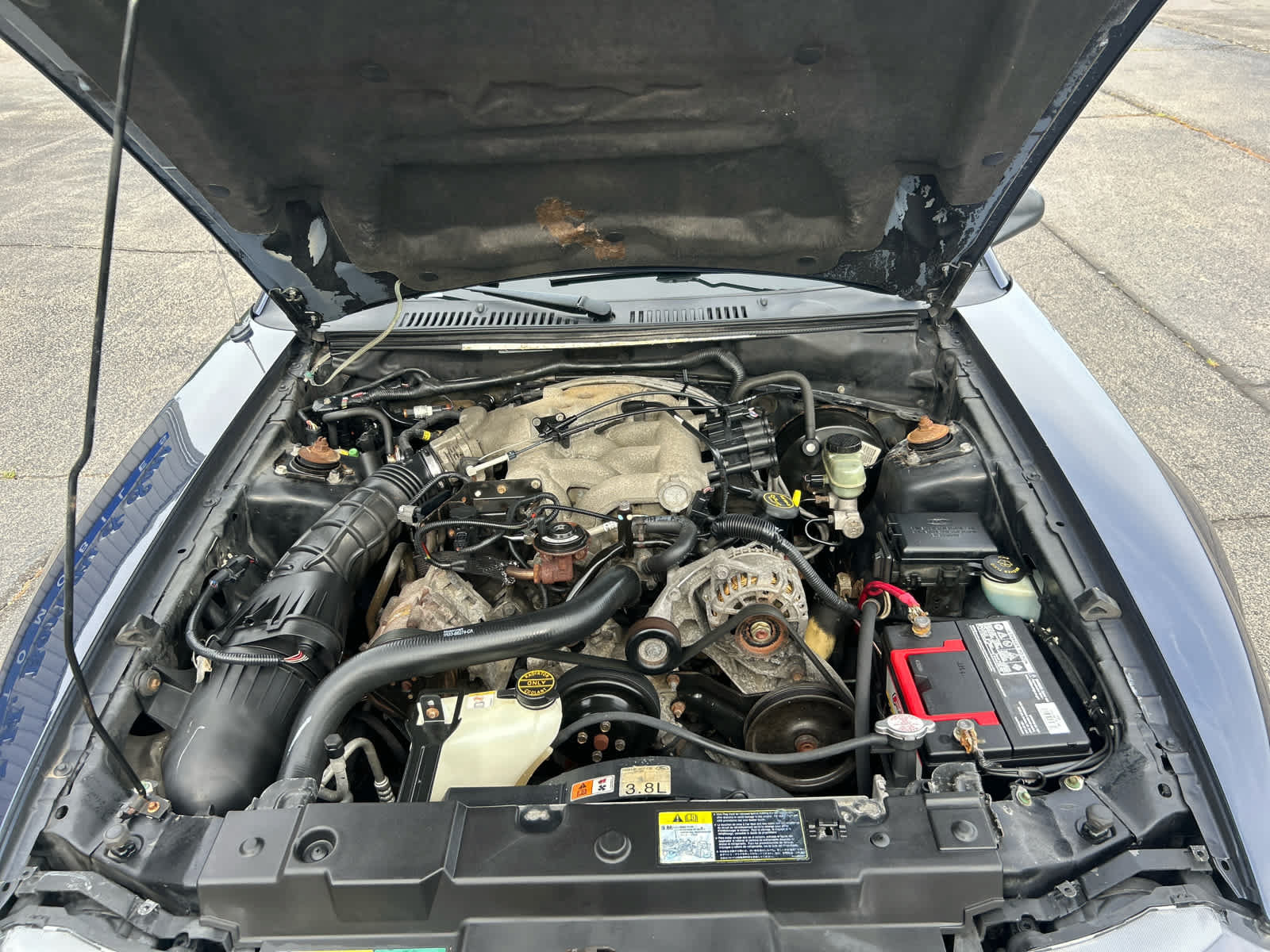 Used 2003 Ford Mustang Convertible RWD image 27