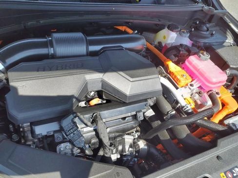 New 2025 Kia Sportage EX image 14