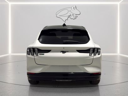 New 2025 Ford Mustang Mach-E Premium w/ Sport Appearance Package