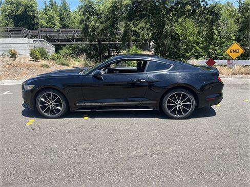 Used 2015 Ford Mustang Coupe w/ Wheel & Stripe Package RWD image 4