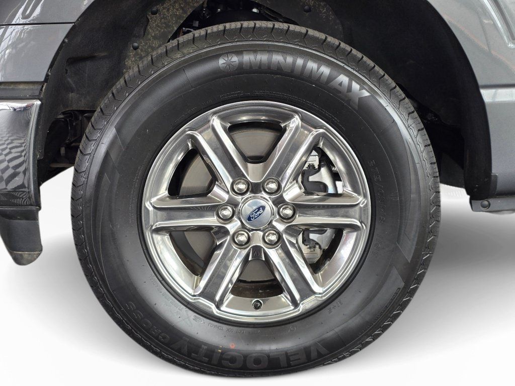 Used 2025 Ford F150 XLT w/ Equipment Group 301A Standard AWD/4WD image 11