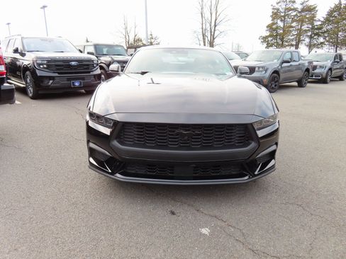 New 2026 Ford Mustang Coupe w/ Mustang Nite Pony Package image 2