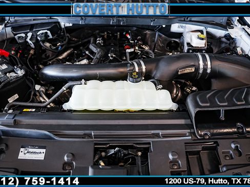 New 2025 Ford F150 XLT w/ Equipment Group 303A High image 44