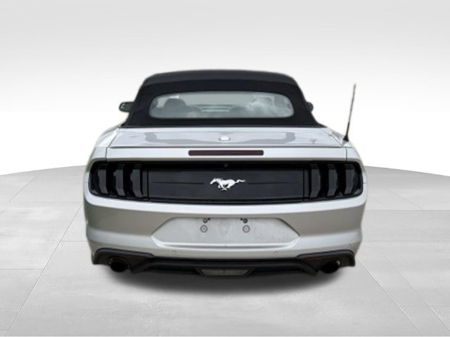 Used 2018 Ford Mustang Premium w/ Equipment Group 201A RWD image 5