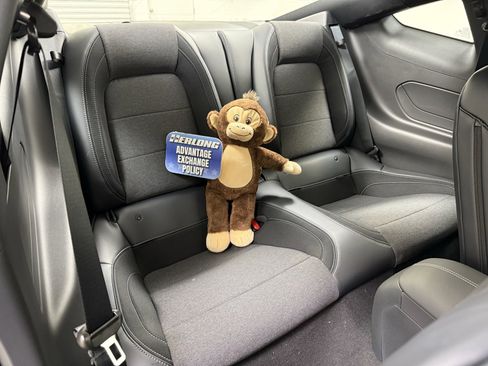 New 2026 Ford Mustang EcoBoost image 25