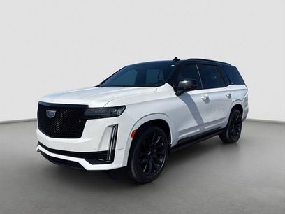 Used 2024 Cadillac Escalade Sport Platinum w/ LPO, ONYX Package