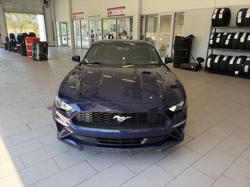 Used 2019 Ford Mustang Coupe RWD image 2