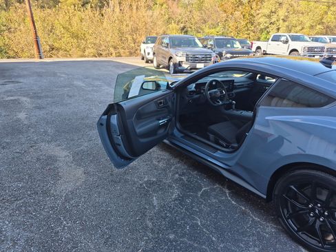 New 2026 Ford Mustang Coupe w/ Mustang Nite Pony Package image 10