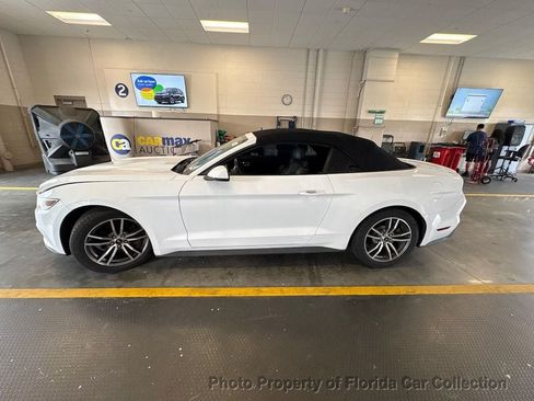 Used 2017 Ford Mustang Premium RWD image 7