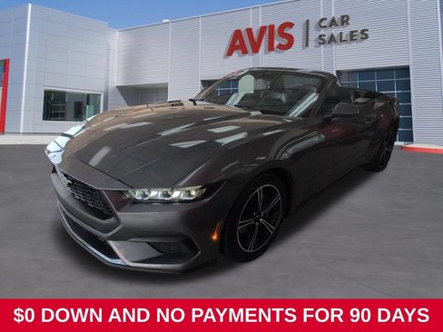 Used 2025 Ford Mustang Premium RWD image 1