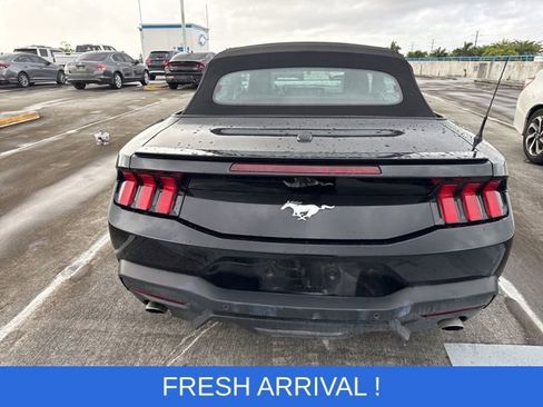 Used 2024 Ford Mustang Premium image 16