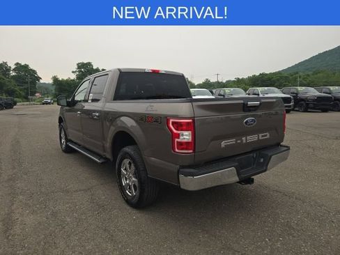Used 2019 Ford F150 XLT w/ Equipment Group 302A Luxury AWD/4WD image 6