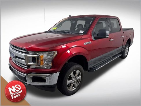 Used 2019 Ford F150 XLT w/ Equipment Group 302A Luxury AWD/4WD image 8